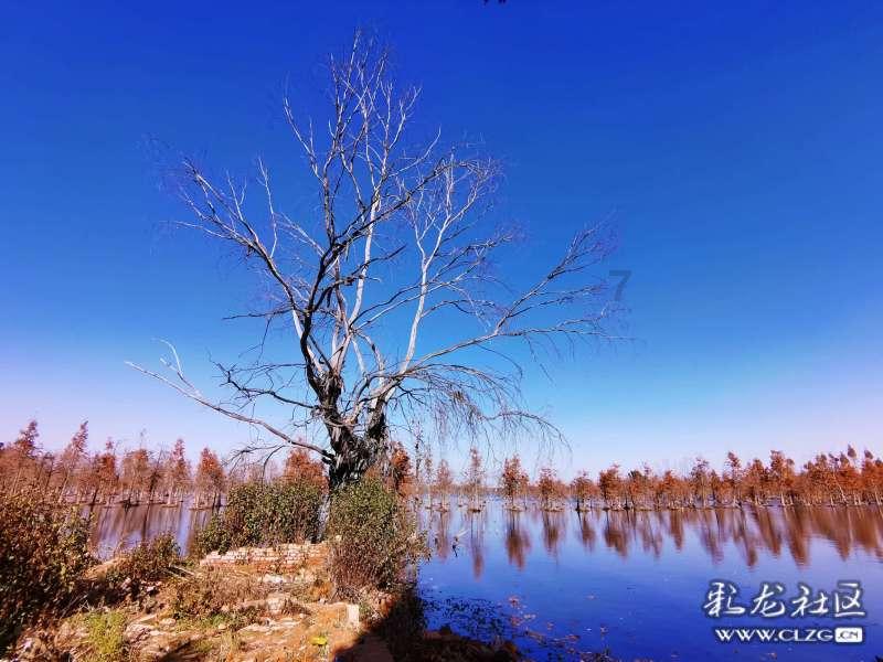 了解银行卡暂停服务还能取钱出来吗?知识星球,打开智慧之门